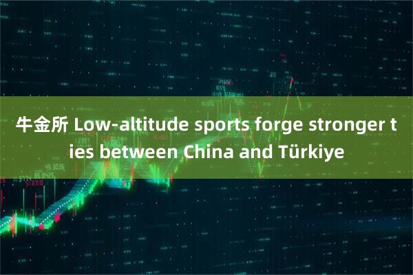牛金所 Low-altitude sports forge stronger ties between China and Türkiye