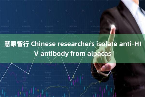 慧眼智行 Chinese researchers isolate anti-HIV antibody from alpacas