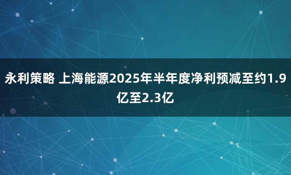 永利策略 上海能源2025年半年度净利预减至约1.9亿至2.3亿