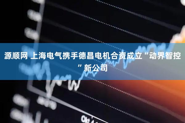 源顺网 上海电气携手德昌电机合资成立“动界智控”新公司