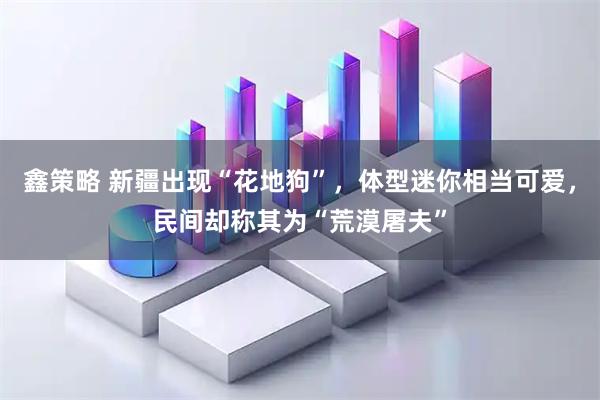 鑫策略 新疆出现“花地狗”，体型迷你相当可爱，民间却称其为“荒漠屠夫”