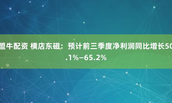 盟牛配资 横店东磁：预计前三季度净利润同比增长50.1%—65.2%