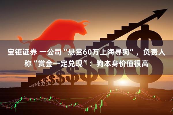 宝钜证券 一公司“悬赏60万上海寻狗”,负责人称“赏金一定兑现”:狗本身价值很高