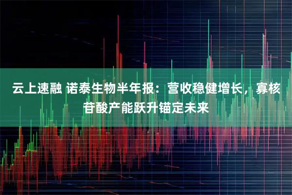 云上速融 诺泰生物半年报：营收稳健增长，寡核苷酸产能跃升锚定未来