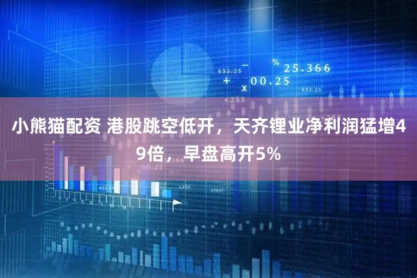 小熊猫配资 港股跳空低开，天齐锂业净利润猛增49倍，早盘高开5%